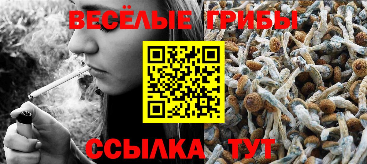 Псилоцибиновые грибы Psilocybine cubensis  Вход с VPN  Псилоцибиновые грибы мухоморы  Зеленогорск 